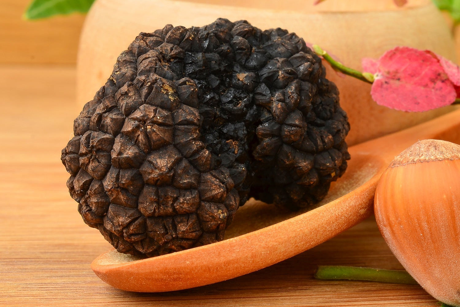 Fresh Autumn Truffle - Tuber Uncinatum