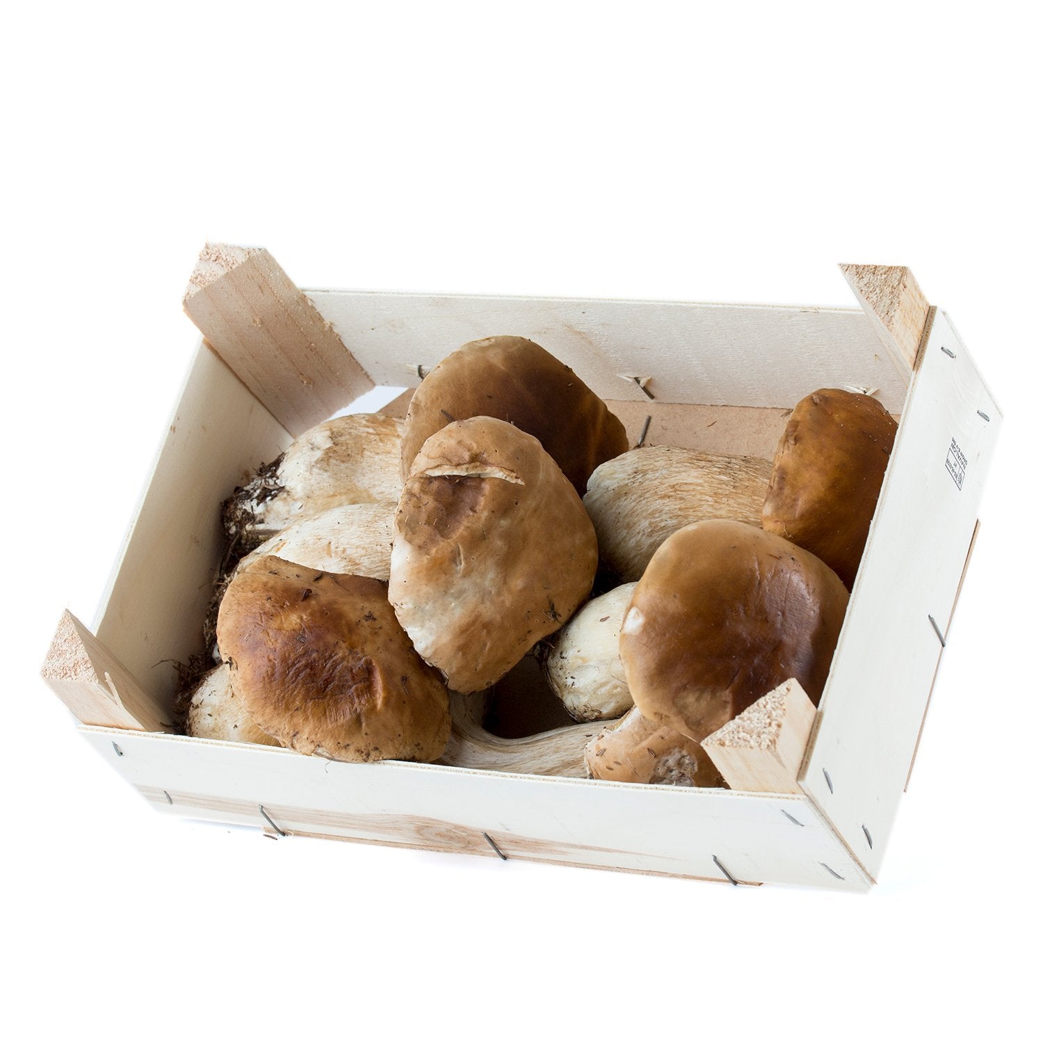 Wild Porcini | Boletus edulis | 5 lb