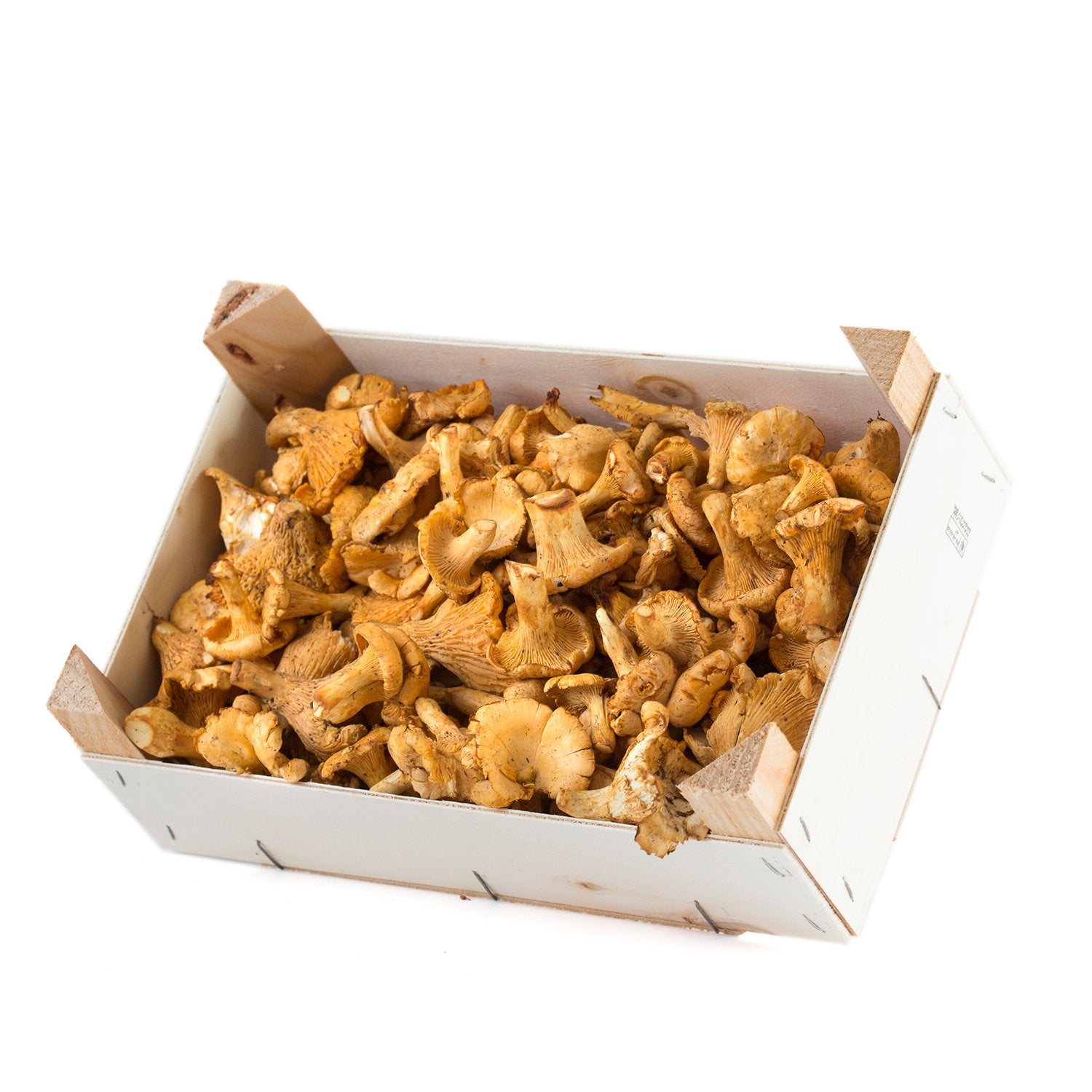 Chantarelle | Cantharellus cibarius | 5 lb