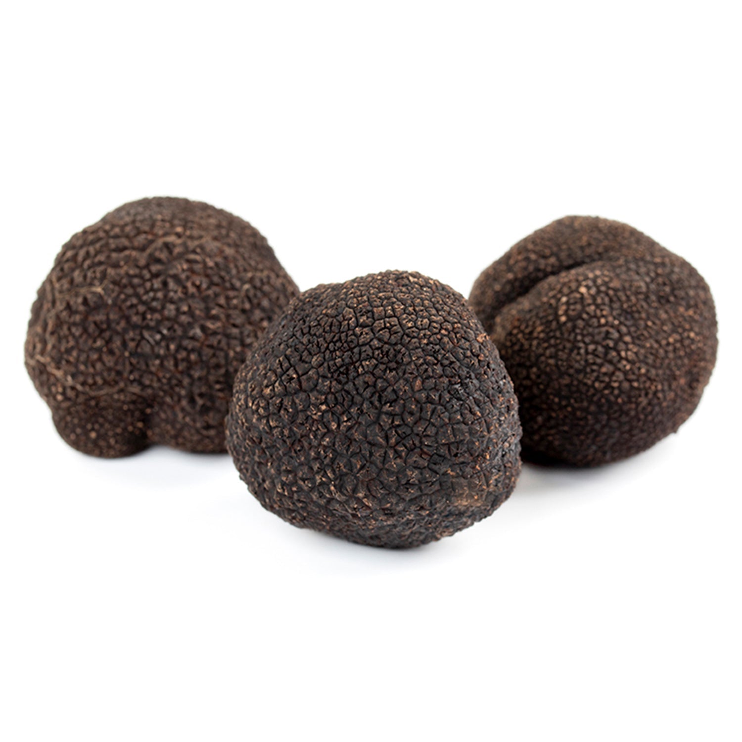 Fresh Black Truffle - Tuber Melanosporum