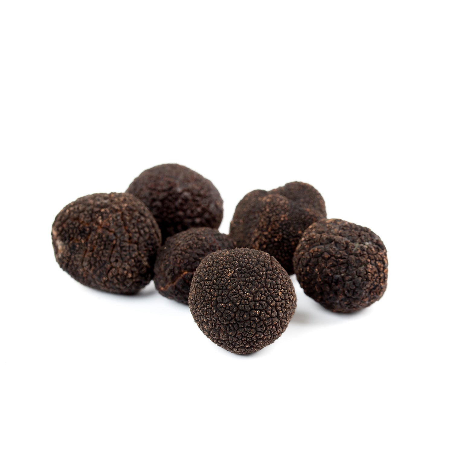 Fresh Black Truffle - Tuber Melanosporum